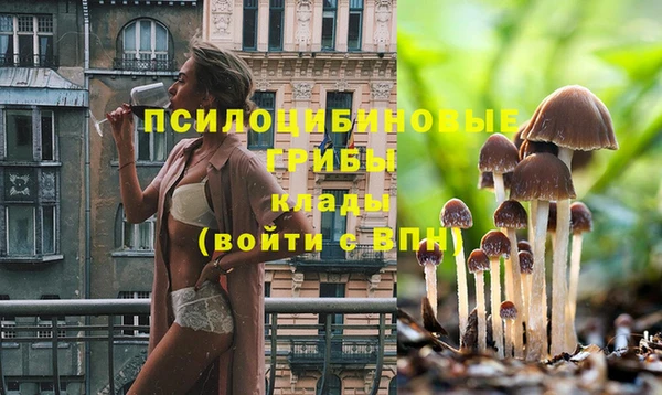 сатива Медвежьегорск