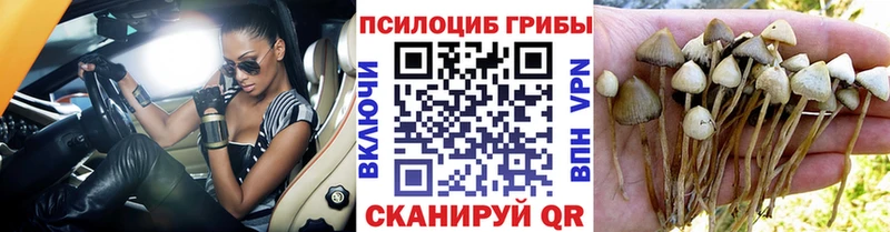 Галлюциногенные грибы мицелий Отрадное